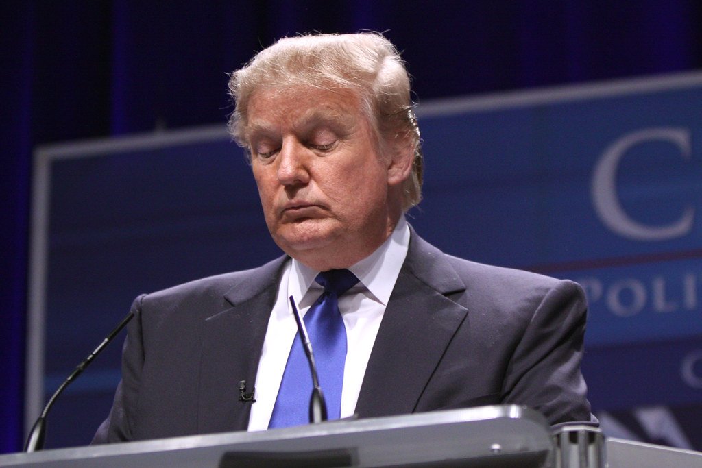 "Donald Trump" di Gage Skidmore è concesso in licenza con CC BY-SA 2.0