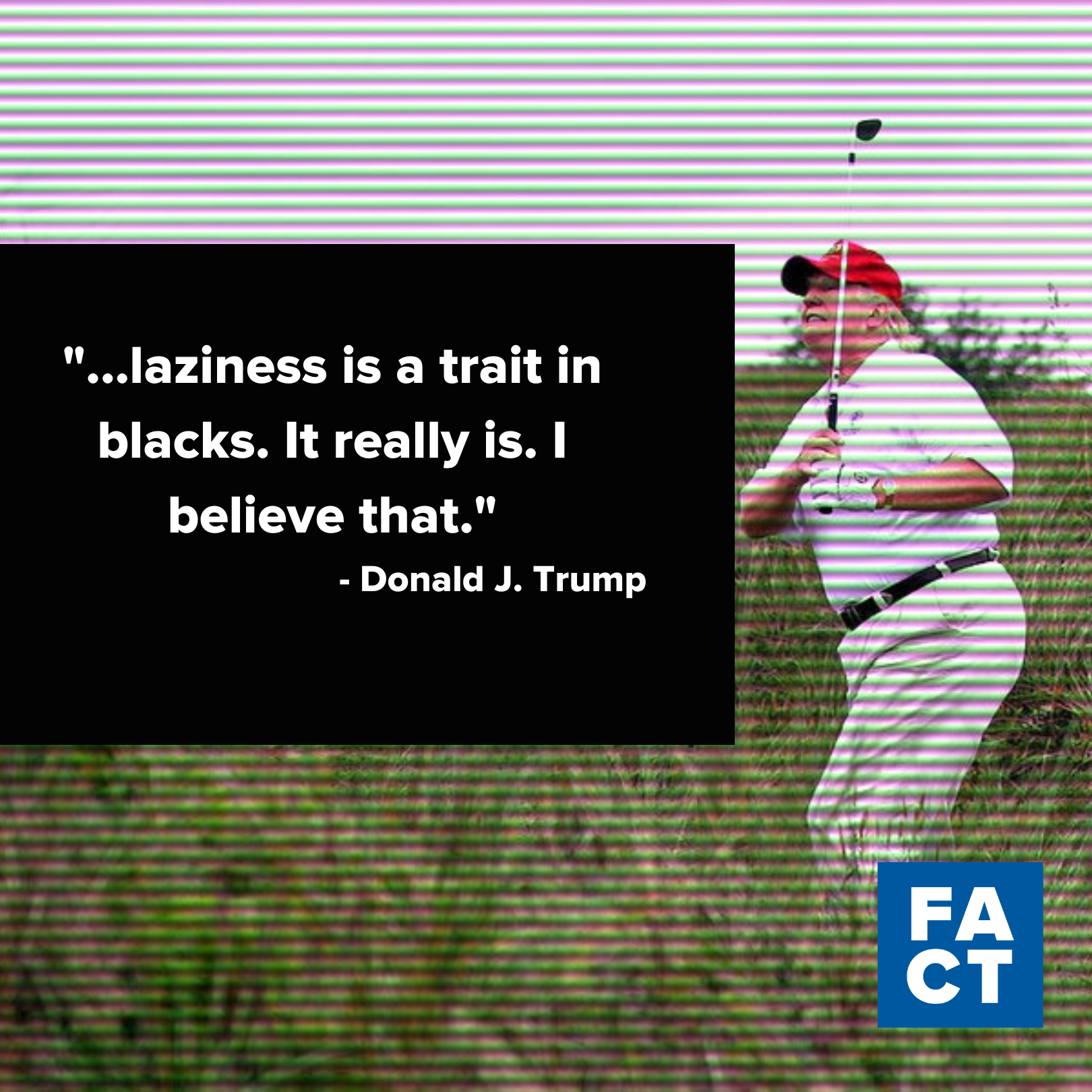Donald Trump Golfing