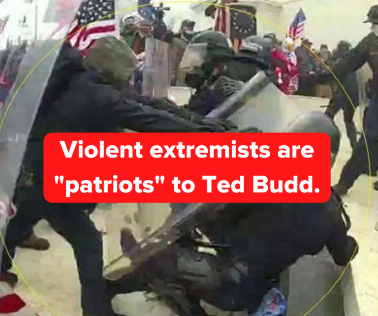 Violent Extremist are Patriots to Ted Budd