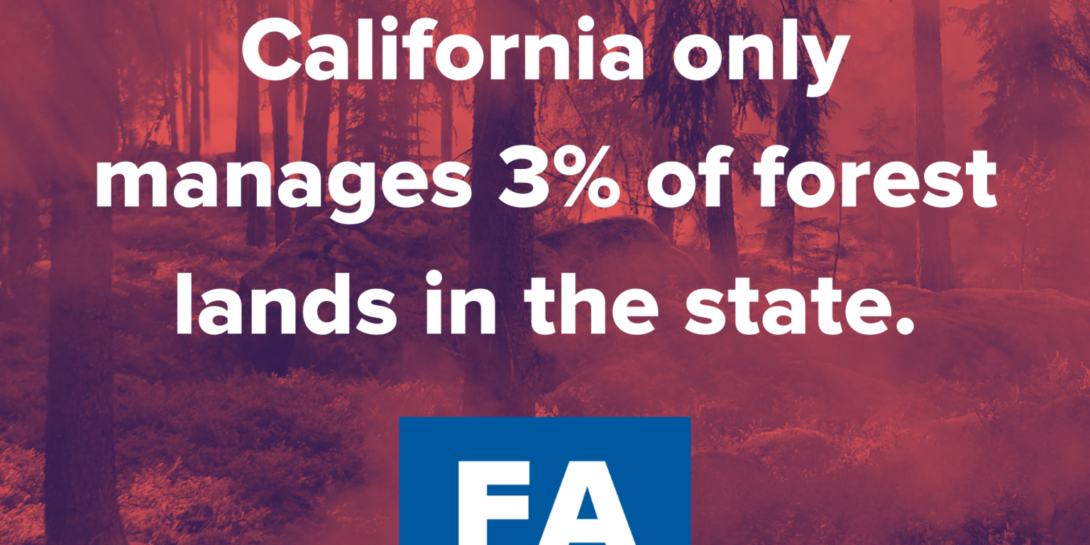 California only manages 3 percent of the forests in the state.