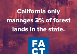 La Californie ne gère que 3 pour cent des forêts de l'État.