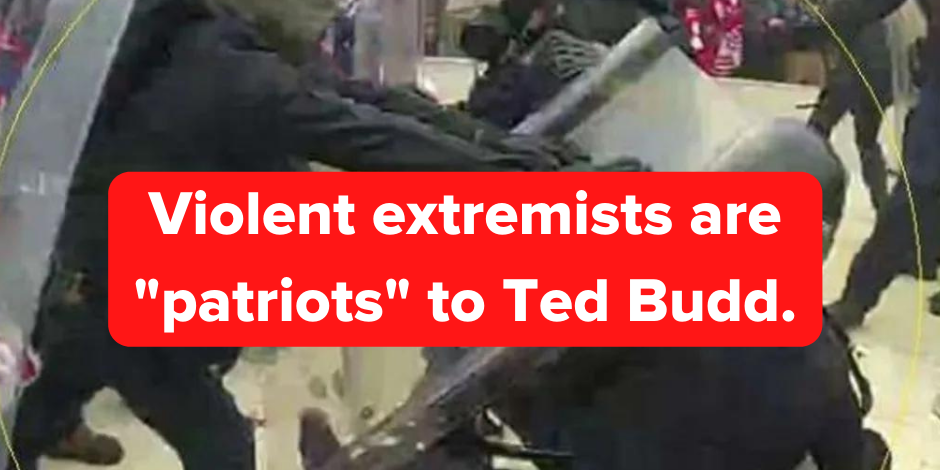 Violent Extremist are Patriots to Ted Budd