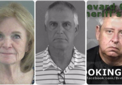 Tres aldeanos; Joan Halstead, Jay Ketcik y John Rider, fueron arrestados durante las últimas dos semanas por fraude electoral en las elecciones de 2020. (Cárcel del condado de Brevard y cárcel del condado de Sumter)